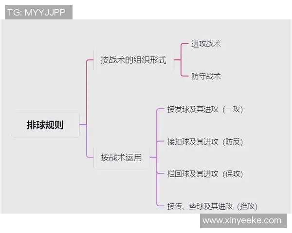 深圳排球队灵活性变革引发热议探讨排球新战术与团队协作模式